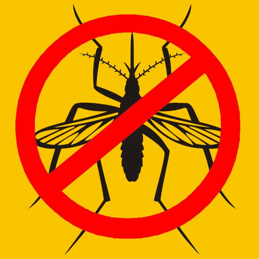 Mosquito - Black And White - Area Transparent PNG