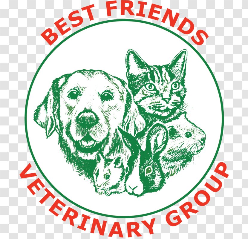 Best Friends Vets Whittlesey Whiskers Cat Veterinarian Dog - Organism Transparent PNG