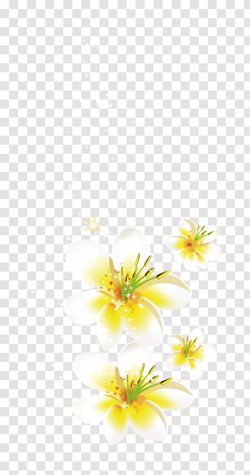 Petal Flower - Cut Flowers - Vector Transparent PNG