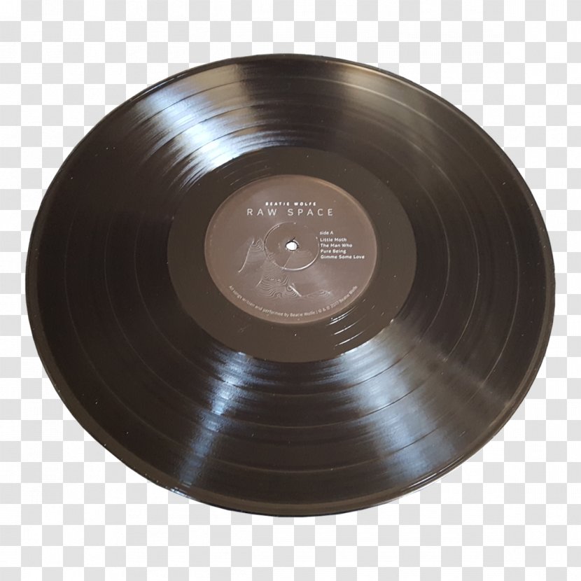 Raw Space Album Phonograph Record Musician - Flower - Cartoon Transparent PNG