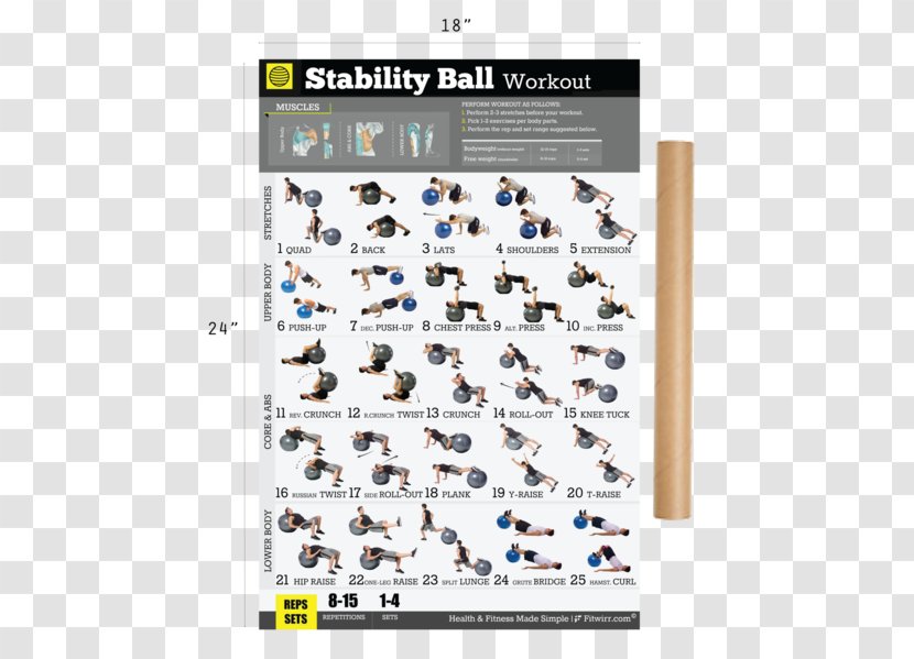 Dumbbell Bodyweight Exercise Weight Training Equipment - Fitness Posters Transparent PNG