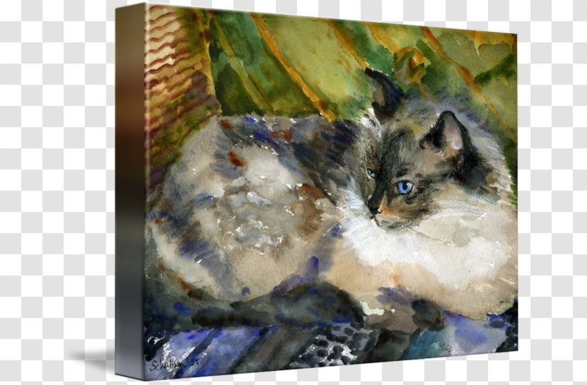 Siamese Cat Ragdoll Kitten Felidae Painting - Carnivoran - Watercolor Animals Transparent PNG