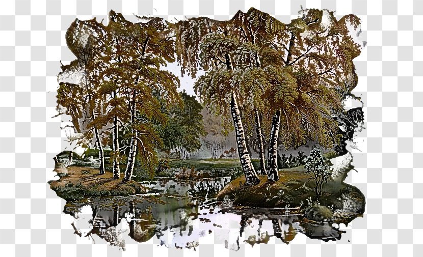 Natural Landscape Nature Reserve Tree Water Rock - Bank Wetland Transparent PNG