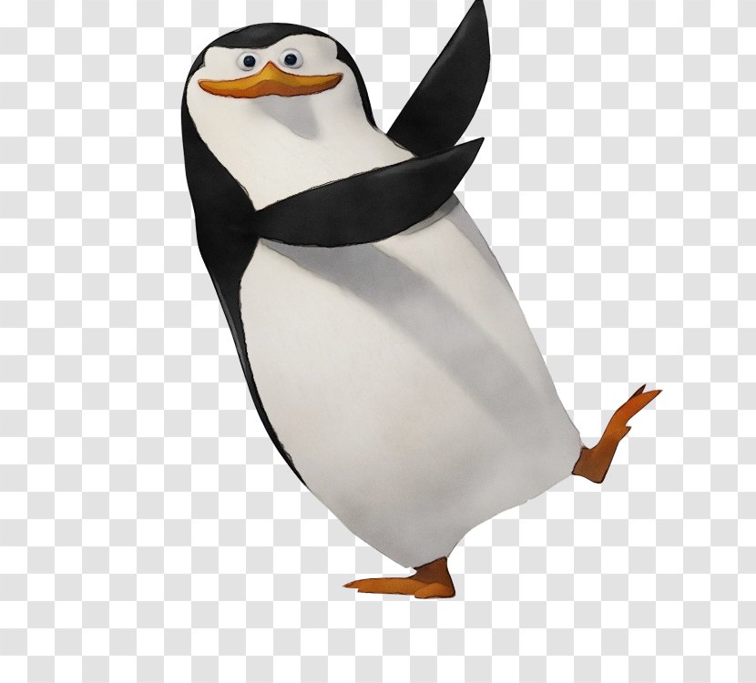 Penguin - Bird - Animal Figure Emperor Transparent PNG