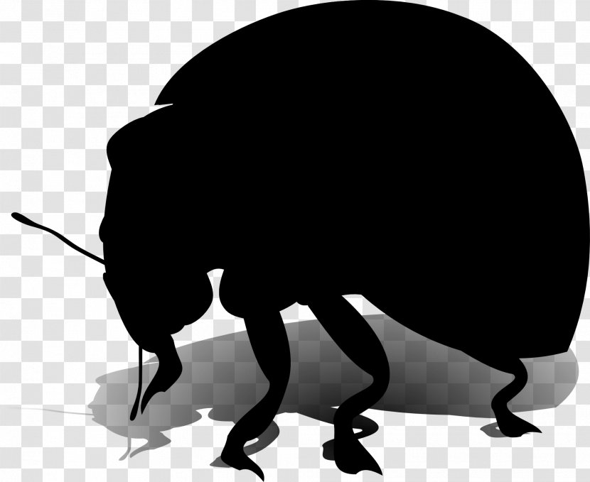 Black & White - Silhouette - M Snout Clip Art Transparent PNG