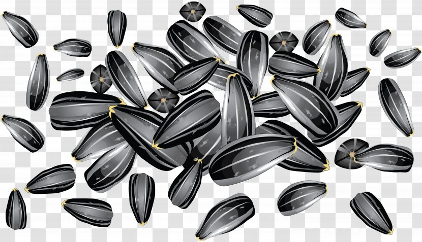Sunflower Seed Common Oil - Nuts Seeds Transparent PNG