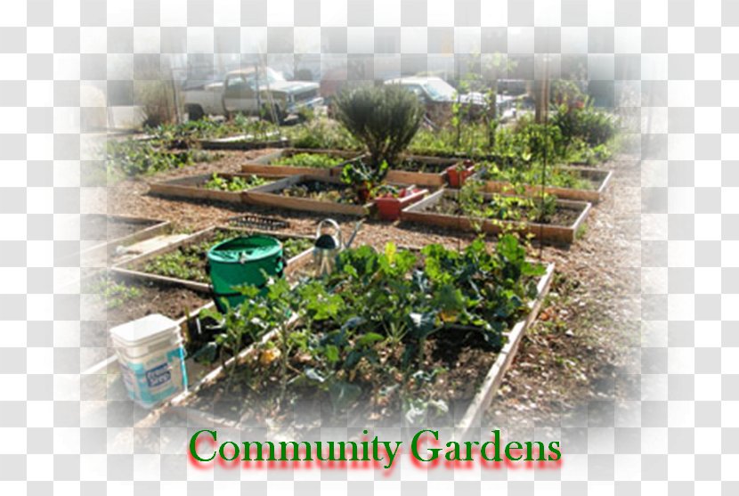 Tree Land Lot Community Gardening Houseplant - Garden Transparent PNG