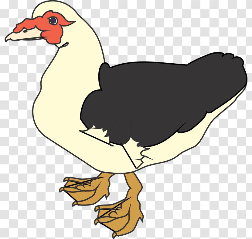 Muscovy Duck Clip Art - Aflac - Aves Transparent PNG