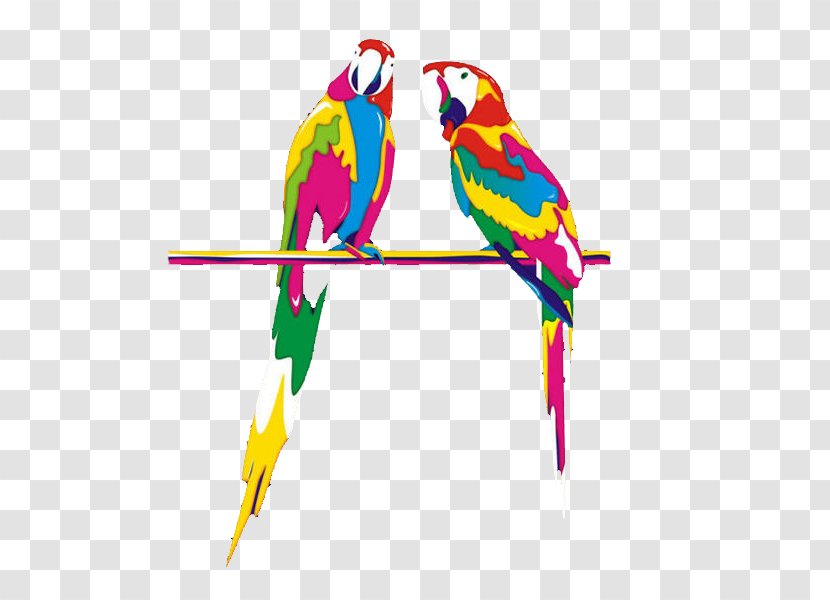 Budgerigar Parrot Bird Macaw Clip Art - Perroquet - Hand Colored Paint Transparent PNG