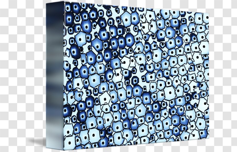 Science In Society Textile Gallery Wrap Canvas Art - Northwestern University Transparent PNG