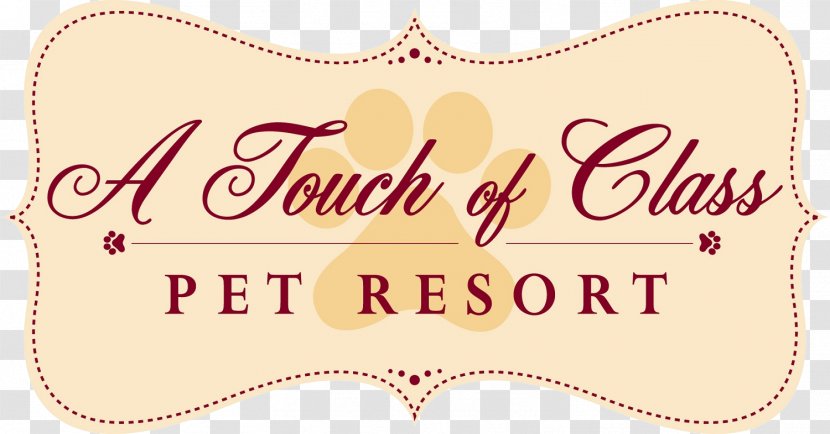 A Touch Of Class Pet Resort Dog Grooming - Accommodation Transparent PNG