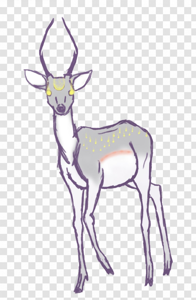 Drawing Of Family - Wildlife - Tail Fawn Transparent PNG