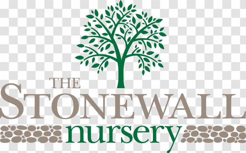 The Stonewall Nursery Logo Tree - Perennial Plant - Grass Transparent PNG