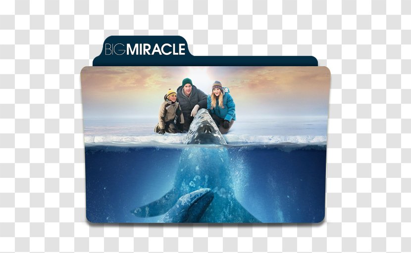 Adam Carlson Rachel Kramer Film Actor Big Miracle - Arctic Transparent PNG