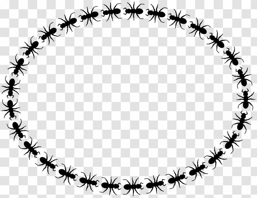 Black Garden Ant Clip Art Vector Graphics Carpenter - Drawing - Termite Transparent PNG