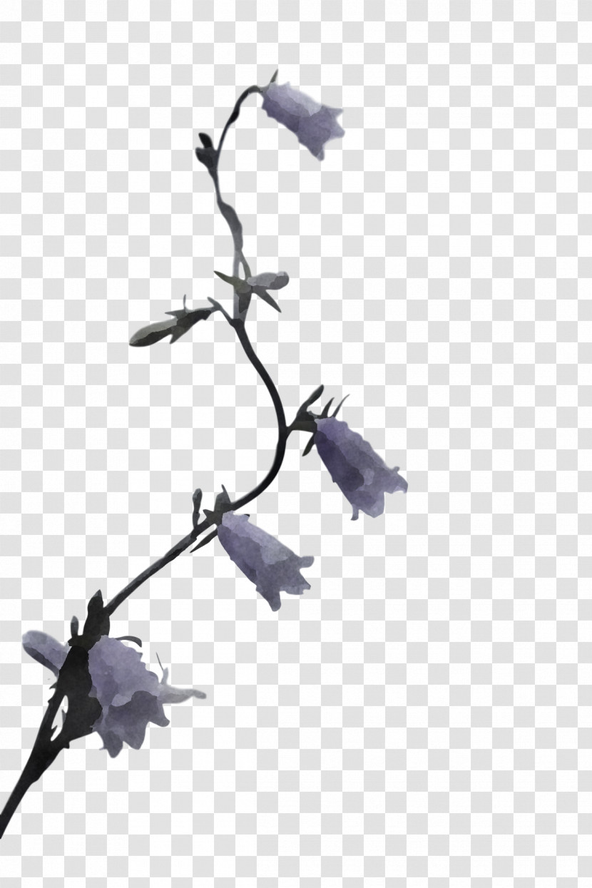 Twig Tree Purple Plants Biology Transparent PNG