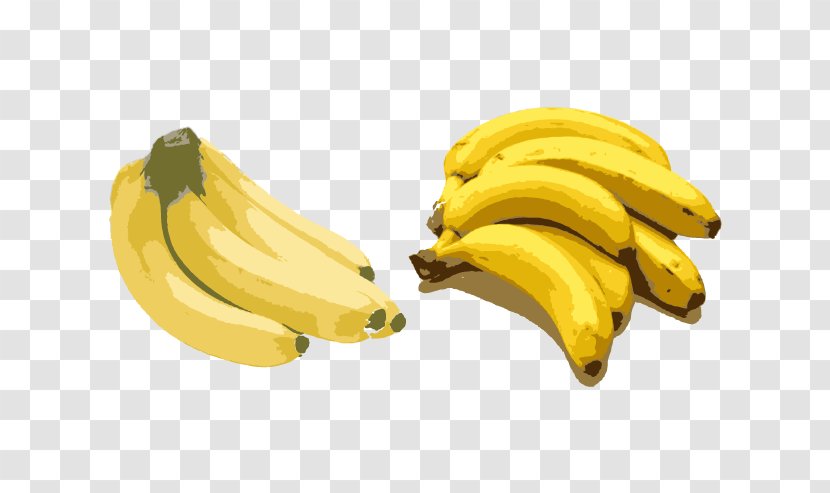 Pune Fruit Banana School Healthy Diet Transparent PNG