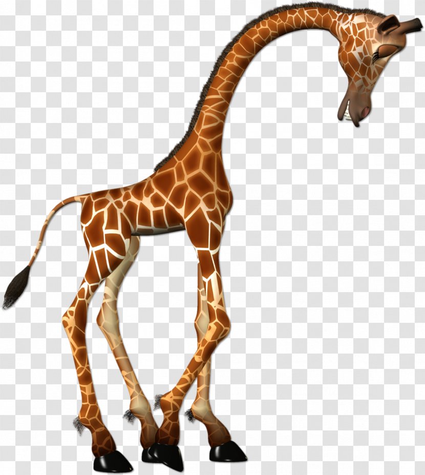 Silhouette Child Clip Art - Fauna - Giraffe Transparent PNG
