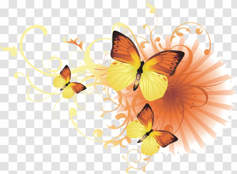 Butterfly Desktop Wallpaper Clip Art - Insect Transparent PNG