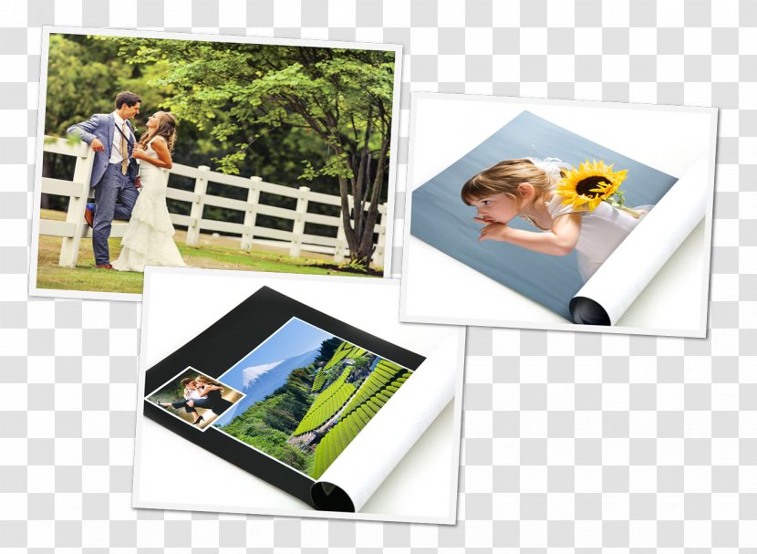Photographic Paper Advertising Plastic Picture Frames - Frame - Colorful Posters Transparent PNG