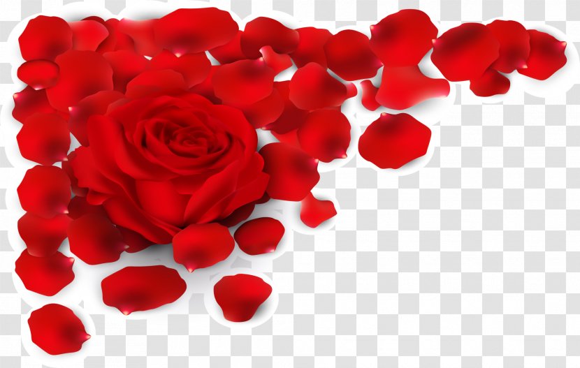 Rose Red Petal Illustration Transparent PNG