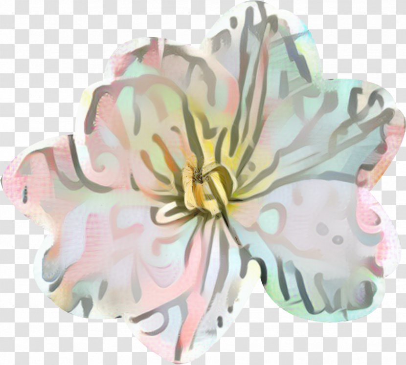 Cut Flowers Product Pink M Petal - Flowering Plant Transparent PNG