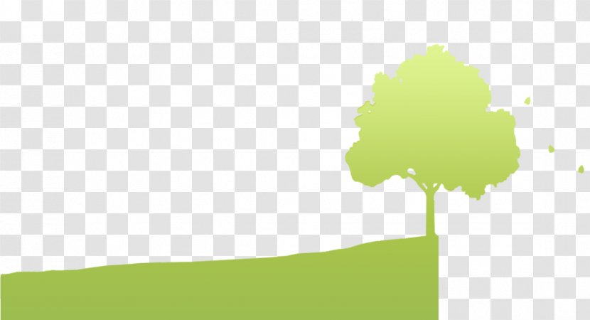 Desktop Wallpaper Energy Font Tree Computer - Cherry Bark Identification Transparent PNG
