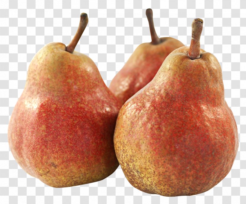 Fruit Asian Pear - Accessory Transparent PNG