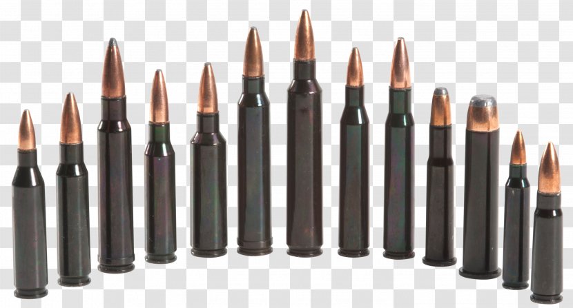 Snap Cap Cartridge Dummy Round Blank Firearm - Silhouette - Ammunition Transparent PNG