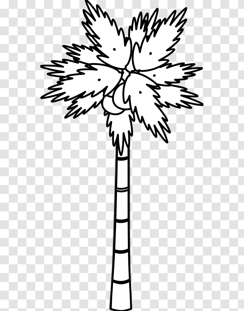 Arecaceae Black And White Tree Clip Art - Flowering Plant - Banana Coconut Cliparts Transparent PNG