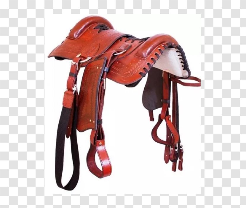 Crioulo Horse Harnesses Campeiro Saddle Brazil - Cavalgada Transparent PNG