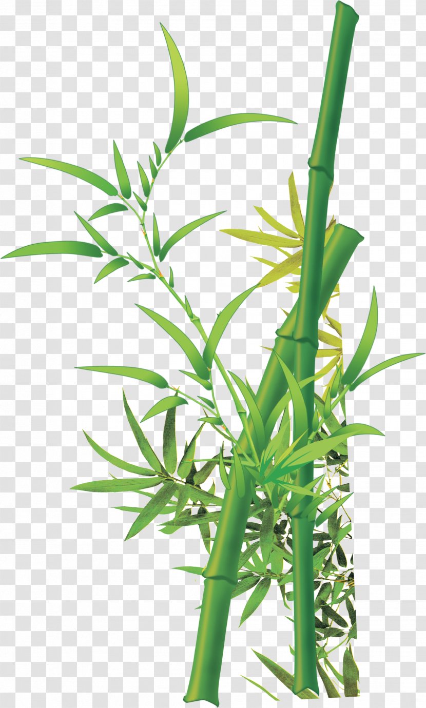 Bamboo Fukei Chinese Painting - Green Transparent PNG