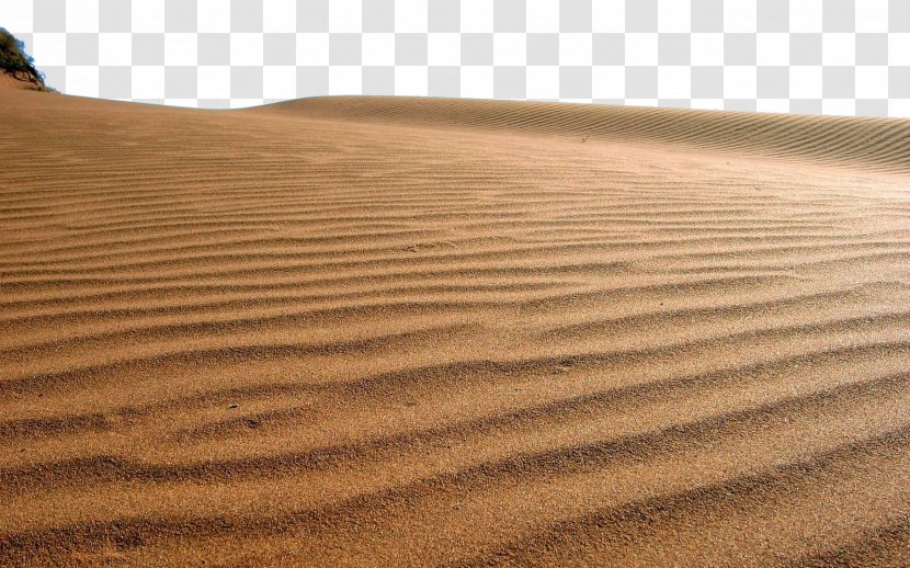 White Sands National Monument Thar Desert Simpson Dune - Footprint - Poor Desertification Transparent PNG