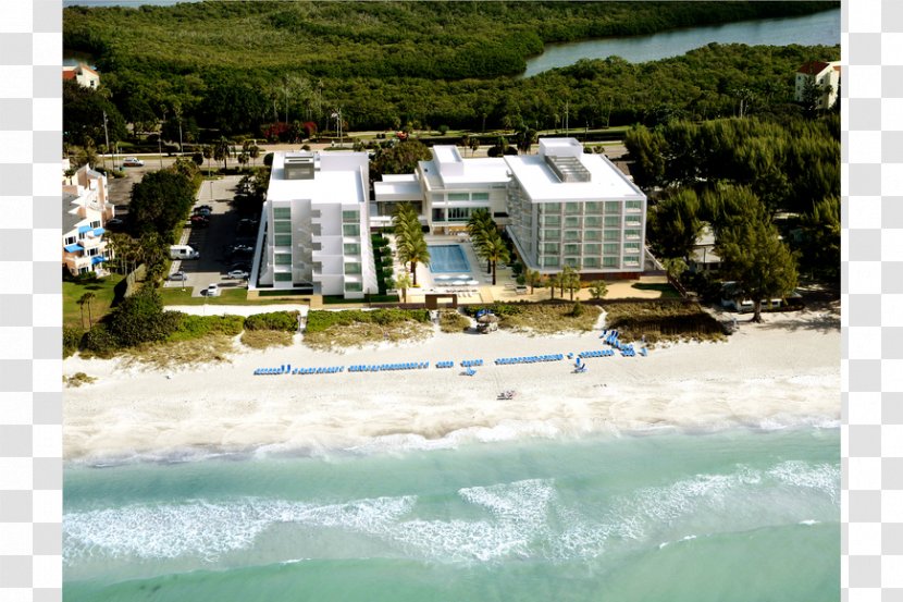 Hilton Longboat Key Beachfront Resort Zota Beach Marco Island Hotels & Resorts - Real Estate - Hotel Transparent PNG