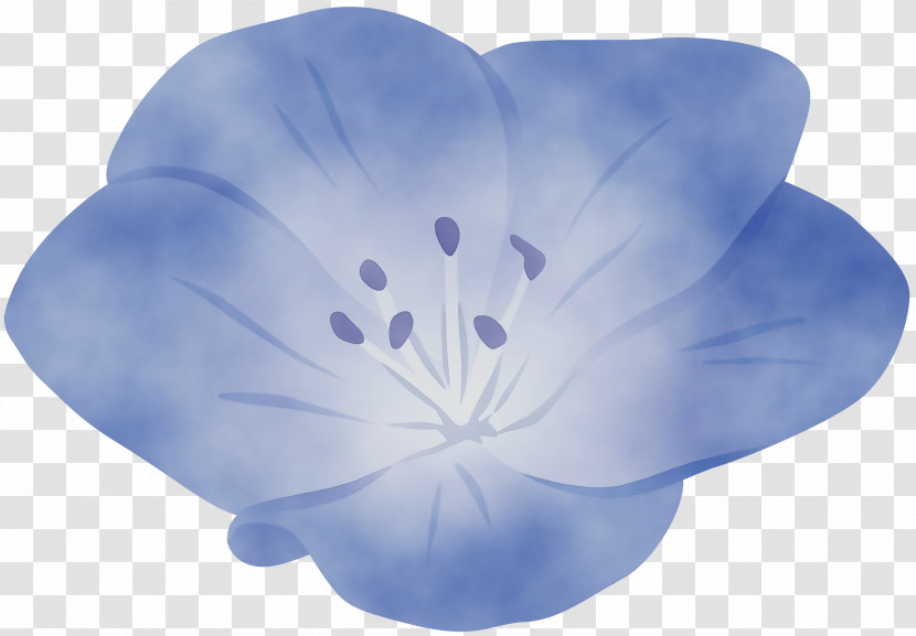 Petal Blue Leaf Flower Plant Transparent PNG