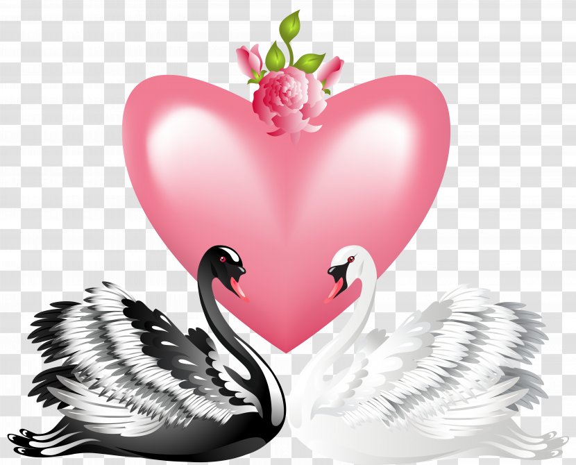 Swan Valentine's Day Heart Clip Art - Watercolor - Love Swans Transparent PNG Image Transparent PNG