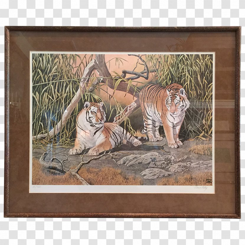 Tiger Cat Animal Wildlife Painting - Com Transparent PNG