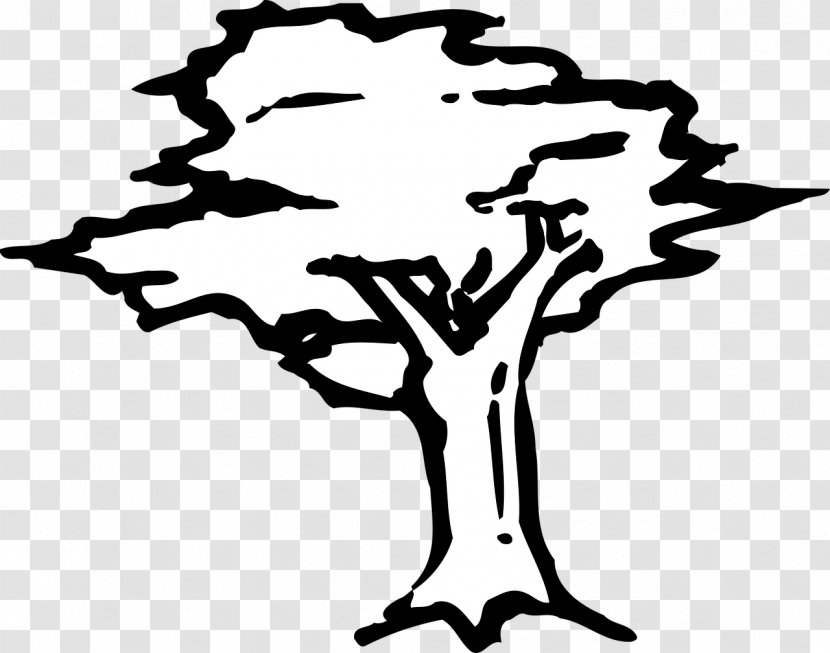 Drawing Tree Clip Art - Branch - Silhouette Transparent PNG