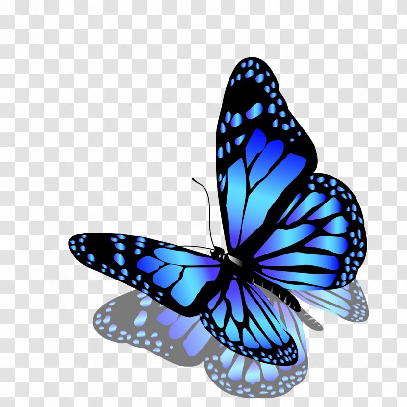 Red Butterfly - Royaltyfree - Pollinator Transparent PNG