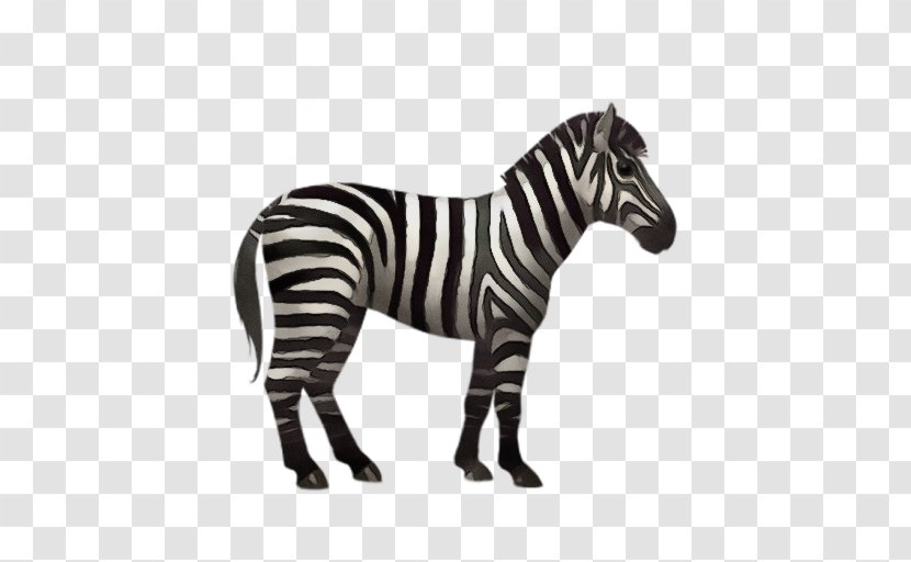 Zebra Cartoon - Horse - Blackandwhite Snout Transparent PNG