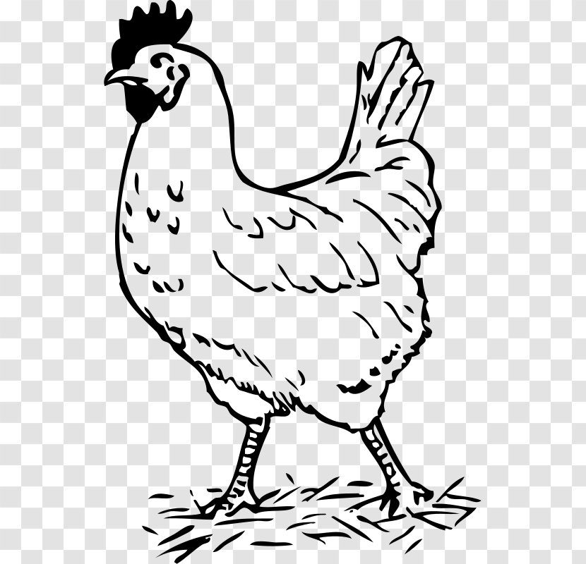 Chicken Black And White Rooster Clip Art - Phasianidae Transparent PNG