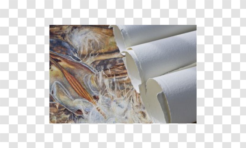Papermaking Material Fiber Flax - Information - Cotton Paper Transparent PNG