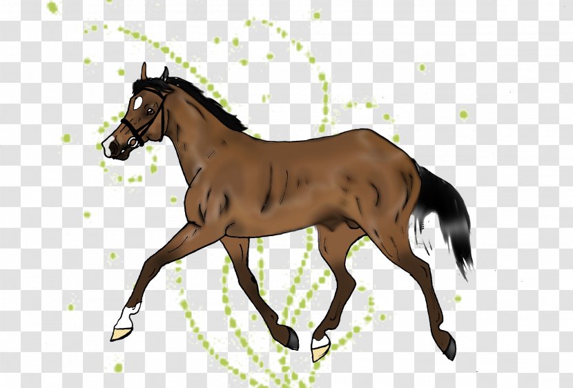Mustang Hanoverian Horse Colt Foal Stallion - Rein Transparent PNG