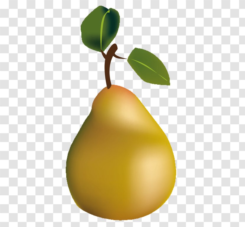 Pear Wikimedia Commons Desktop Wallpaper - Fruit Transparent PNG
