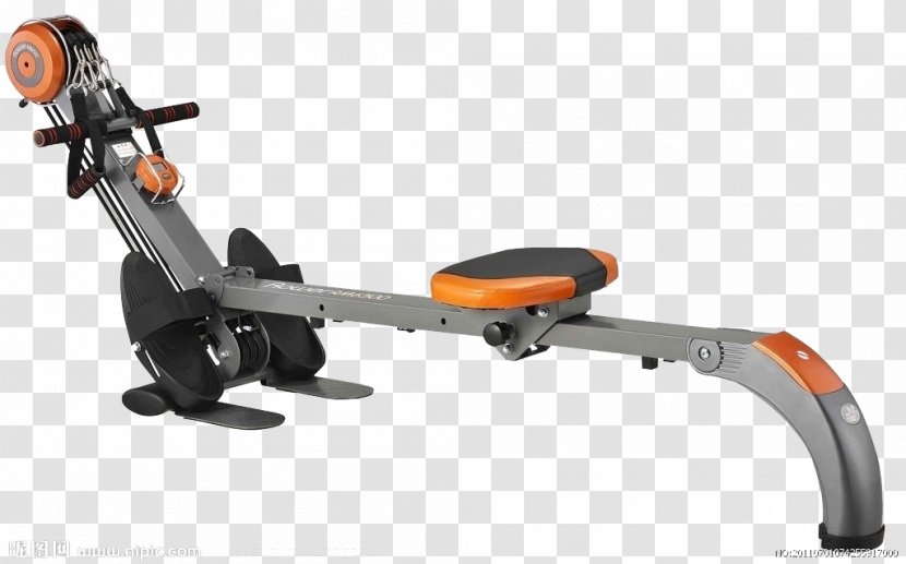 Indoor Rower Rowing Exercise Machine Physical - Boating Fitness Equipment Transparent PNG