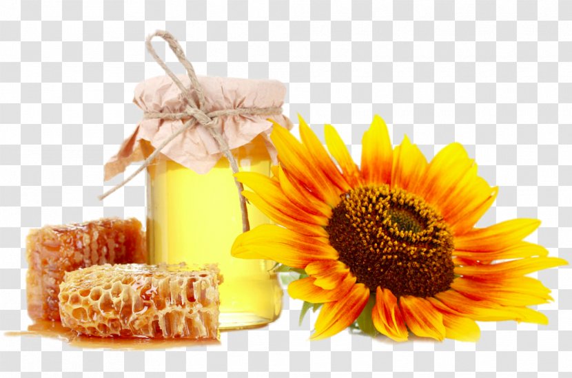 Queen Bee Nutrient Royal Jelly Food - Sunflower - Specialty Honey Farm Transparent PNG