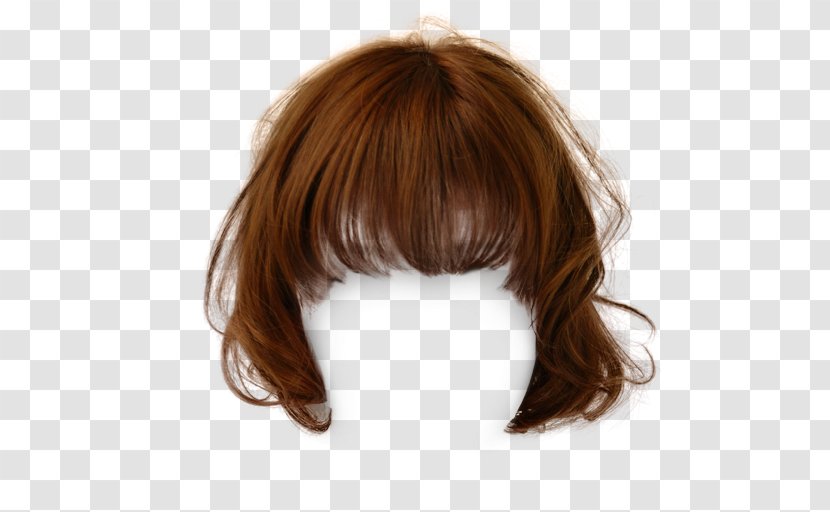 Hairstyle Brown Hair Wig - Attractive Short Clips To Pull The Free Photos Transparent PNG