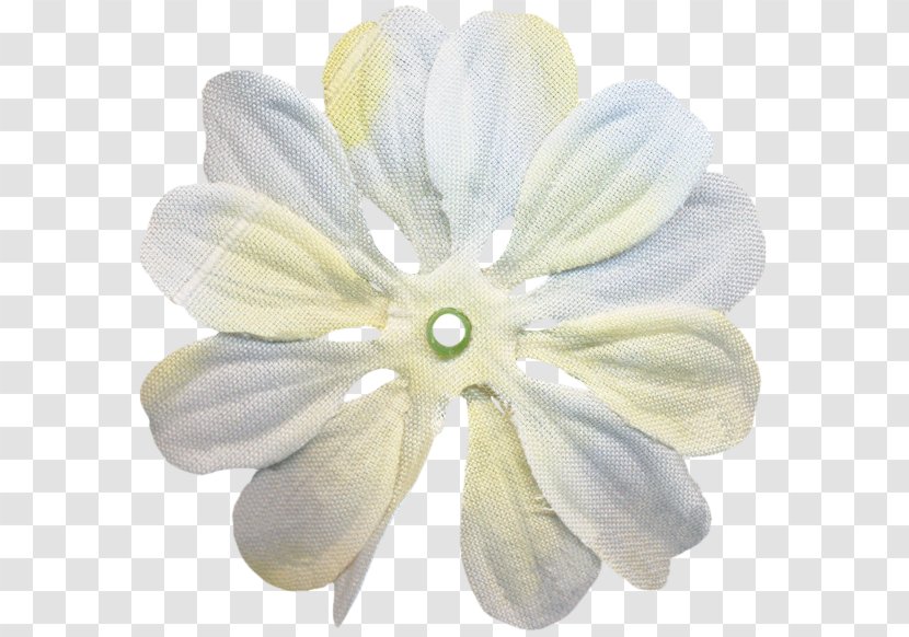 Petal Cut Flowers - White Transparent PNG