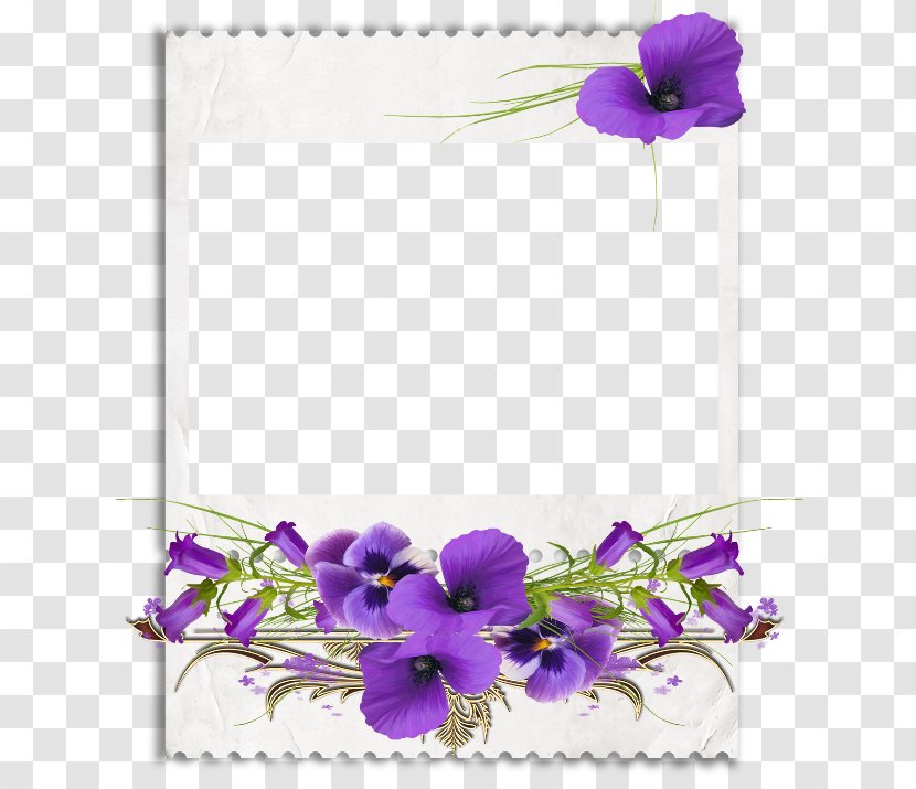 African Violets Clip Art - Petal - Violet Transparent PNG