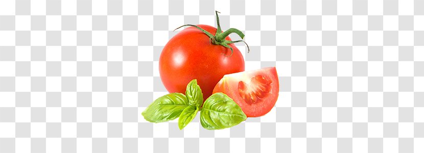 Pasta Tomato Juice Salsa Vinaigrette Sauce - Fruit - Vegetable Transparent PNG
